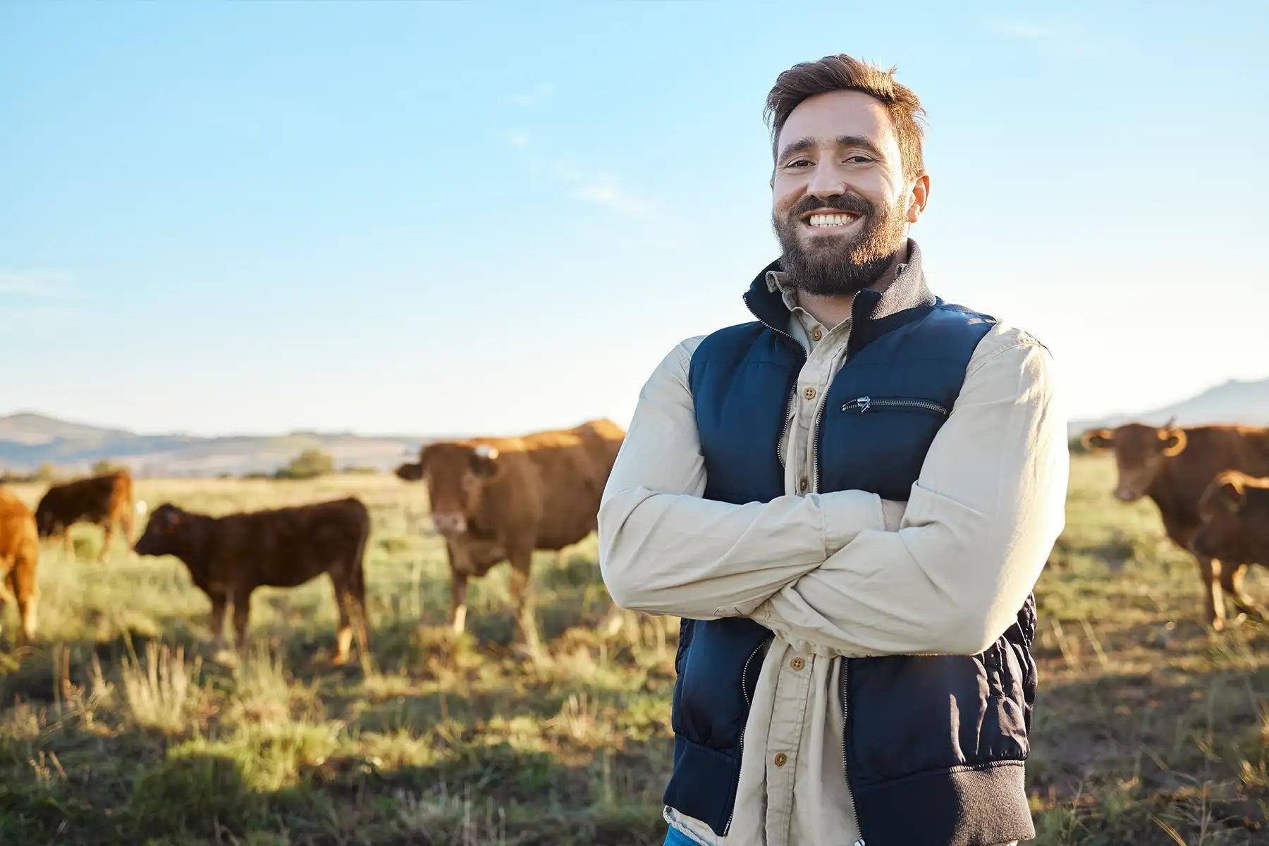 Warum Herkunft bei Fleisch wichtiger ist als günstige Preise - Reinweide